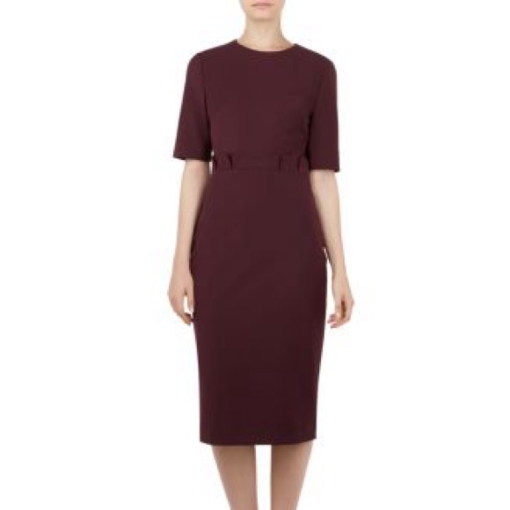 Ted Baker Maggidd Pleated Waist Dress